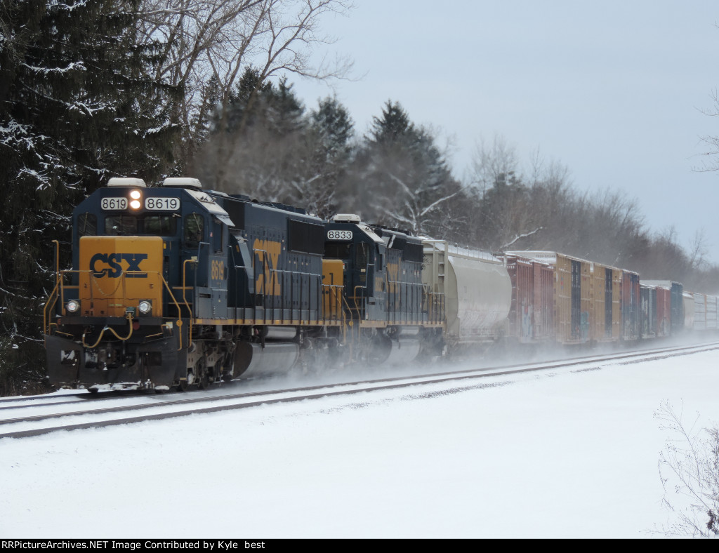 CSX 8619 